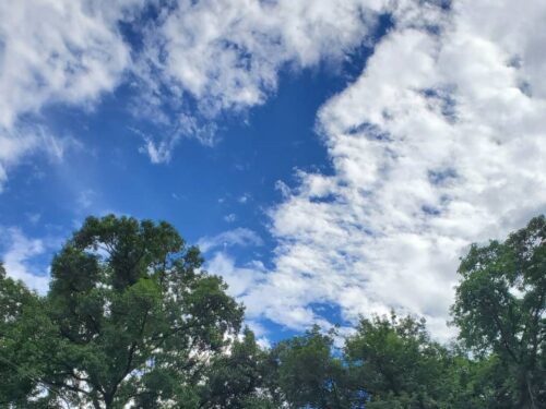 かなでからの空